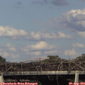 17_25-mast.jpg