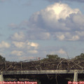 17_30-mast.jpg