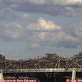 17_40-mast.jpg