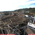 17_40-nest.jpg