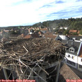 17_45-nest.jpg