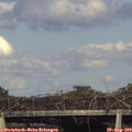 17_55-mast.jpg