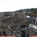 18_00-nest.jpg