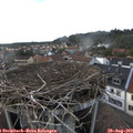 18_05-nest.jpg