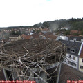 18_15-nest.jpg