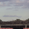 18_25-mast.jpg