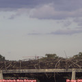 18_40-mast.jpg