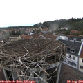 18_45-nest.jpg