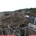 19_00-nest.jpg