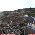 19_05-nest.jpg