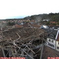 19_15-nest.jpg