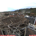 19_25-nest.jpg