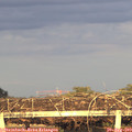 19_30-mast.jpg