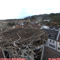 19_35-nest.jpg