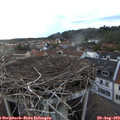 19_40-nest.jpg