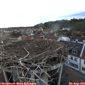 19_45-nest.jpg