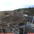 19_50-nest.jpg