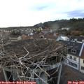 19_55-nest.jpg