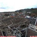 20_00-nest.jpg