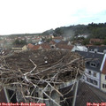 06_45-nest.jpg