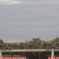 06_50-mast.jpg