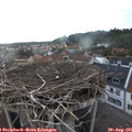 06_50-nest.jpg