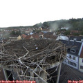 07_00-nest.jpg