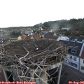07_05-nest.jpg