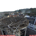 07_10-nest.jpg