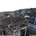 07_15-nest.jpg