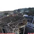 07_20-nest.jpg