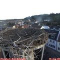 07_30-nest.jpg