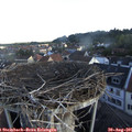 07_35-nest.jpg