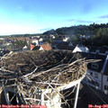 07_40-nest.jpg