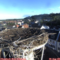 07_45-nest.jpg