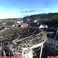 07_55-nest.jpg