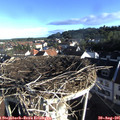08_00-nest.jpg