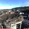 08_05-nest.jpg