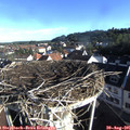 08_10-nest.jpg