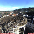 08_15-nest.jpg