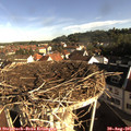 08_35-nest.jpg