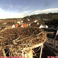 08_40-nest.jpg