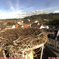 09_00-nest.jpg