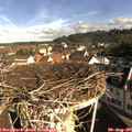 09_05-nest.jpg