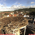 09_10-nest.jpg