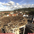 09_15-nest.jpg