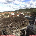 09_20-nest.jpg