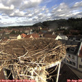 09_25-nest.jpg