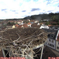 09_30-nest.jpg