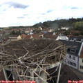 09_40-nest.jpg